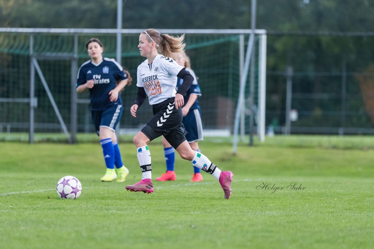 Bild 265 - B-Juniorinnen SV Henstedt Ulzburg - Hamburger SV : Ergebnis: 2:3